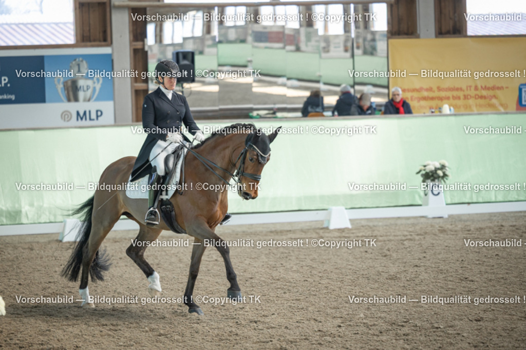 _D5A9669 | Emotionale Pferde- & People-Fotografie rund um Heidelberg, Leimen & Umgebung. Natürliche Fotos von Pferd, Mensch & Familie. Jetzt Termin sichern!