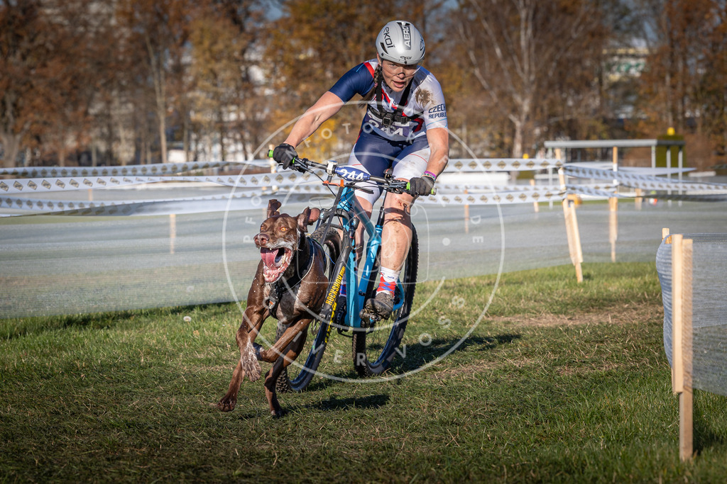 CaniXpix_0L8A4886 | Hundefotografie, Tierfotograf, Pfotenfotografie, Fotoshooting Hund, Hunde Portrait, Hundesport, Hundeportraits, Heideshooting, Hunde, Sportfotograf, Hundefotograf, Turnierhundsport, THS,  - Realisiert mit Pictrs.com
