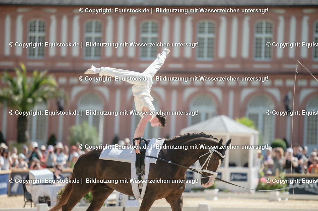 20230528_Voltigieren_NASPA_0081 | equistock