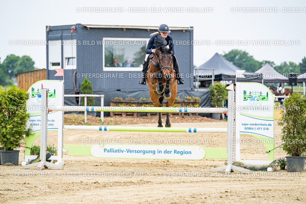 DSC07604 | Pferdegrafie