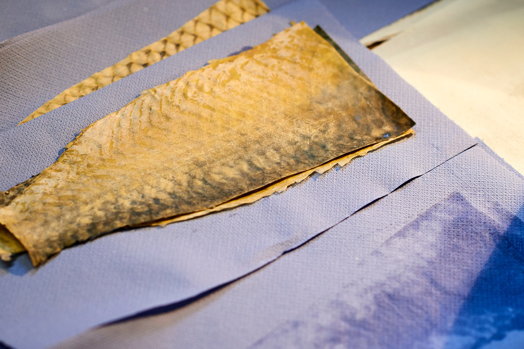 Yupitaze Fischtextil | Litschau, Austria - April 02, 2016: Yupitaze Fischtextil; das Fischleder auf dem saugfähige Papier, nach dem pressen hat sich das Fett gelöst. - Realisiert mit Pictrs.com