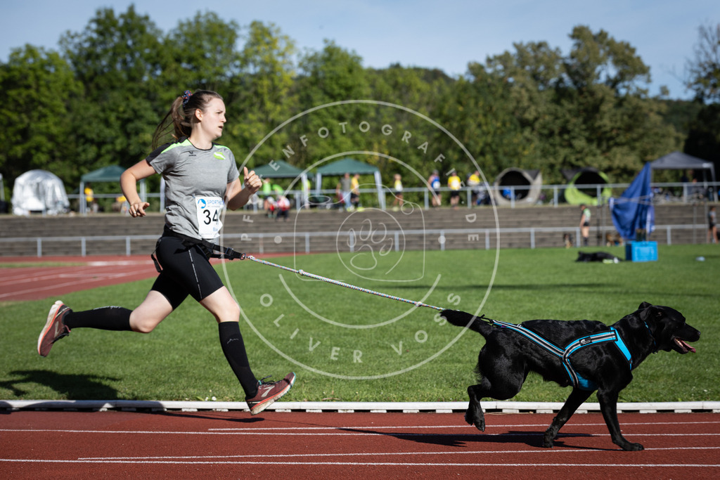Pfotenfotografie_DV3A8672 | Hundefotografie, Tierfotograf, Pfotenfotografie, Fotoshooting Hund, Hunde Portrait, Hundesport, Hundeportraits, Heideshooting, Hunde, Sportfotograf, Hundefotograf, Turnierhundsport, THS,  - Realisiert mit Pictrs.com