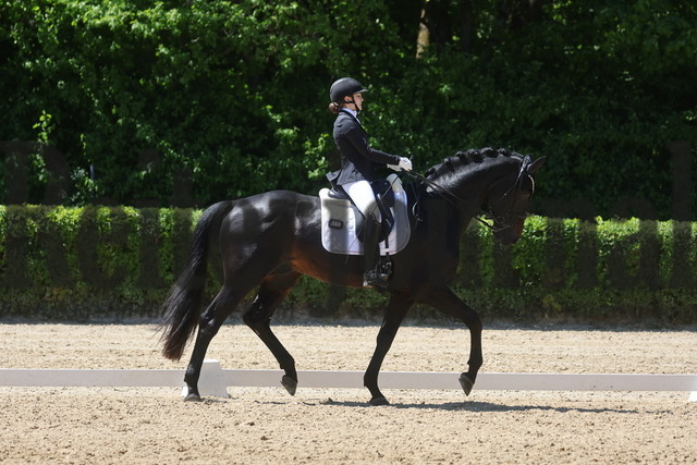 Böblingen_2025_Prfg.Nr.08_Dressurprüfung_Kl.M_Nürnberger Burgpokal_Nova Eden Gelf_Beckham GT (3) | Alle Fotos der Reiterjournal Fotografin Doris Matthaes im Reiterjournal Online-Fotoshop. - Realisiert mit Pictrs.com