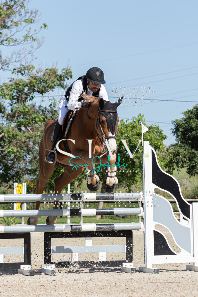 IMG_0843 | s-jay-photography - Realisiert mit Pictrs.com