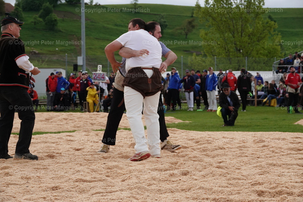 DSC00621 | Schwingen - Realisiert mit Pictrs.com