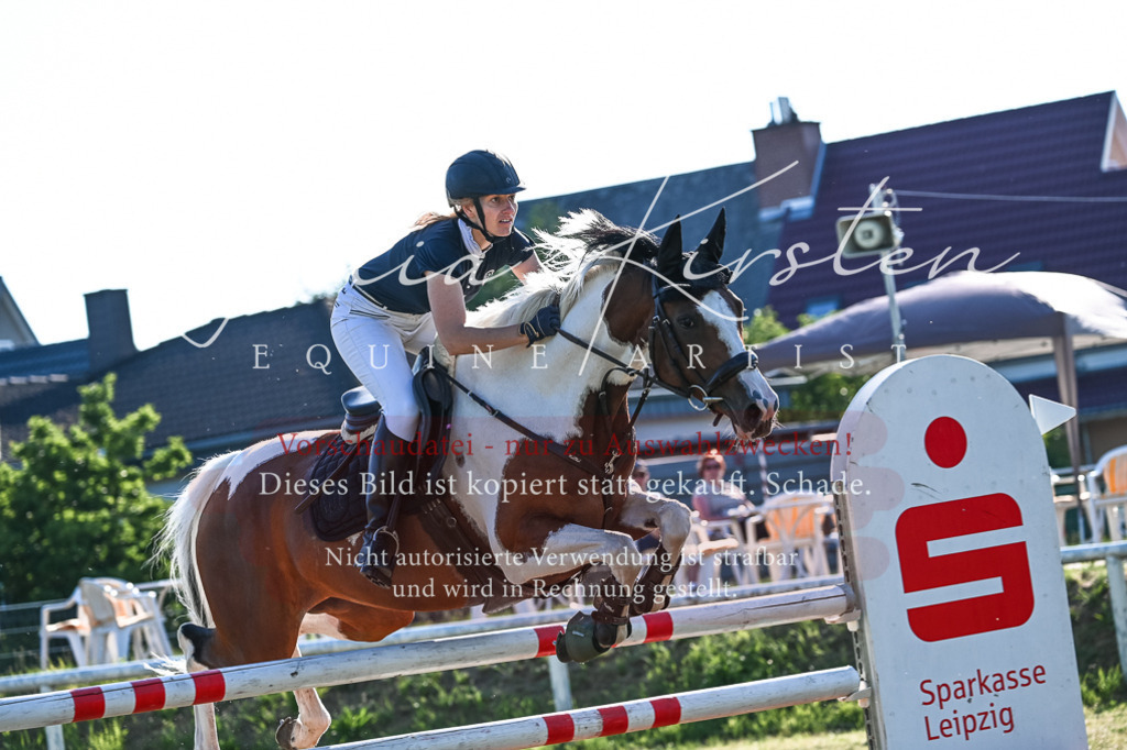 DSC_2854 | Pferde- und Turnierfotografie in Westsachsen. Pferdeportraits, Auftragszeichnungen und intuitive Kunst.