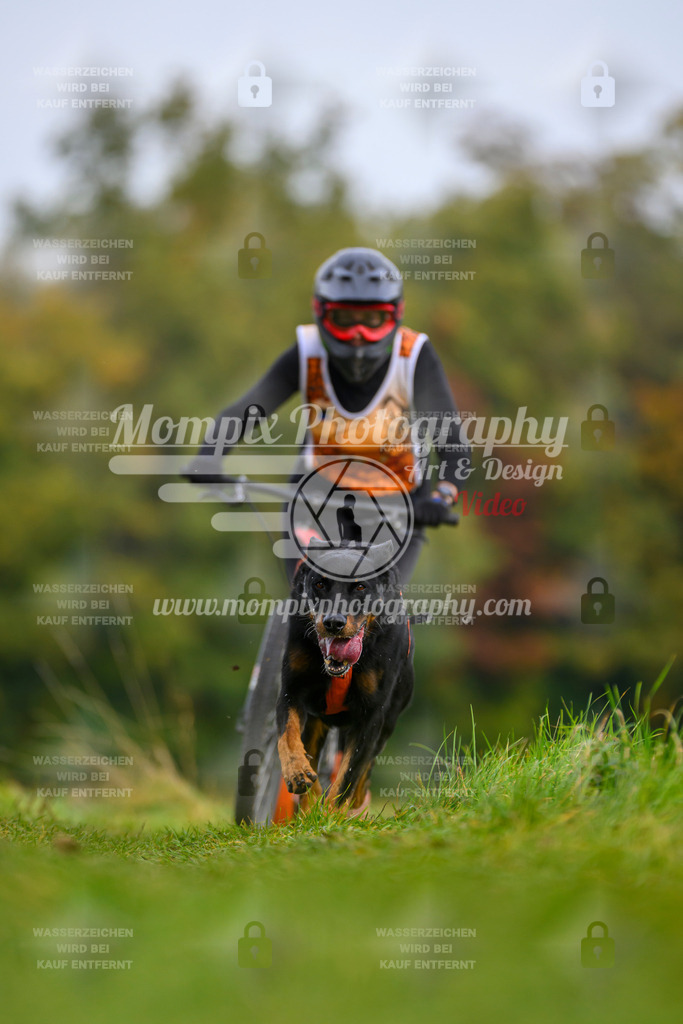 MompixPhotography_CDLBDB2025_DI_DS-87 | PayLife