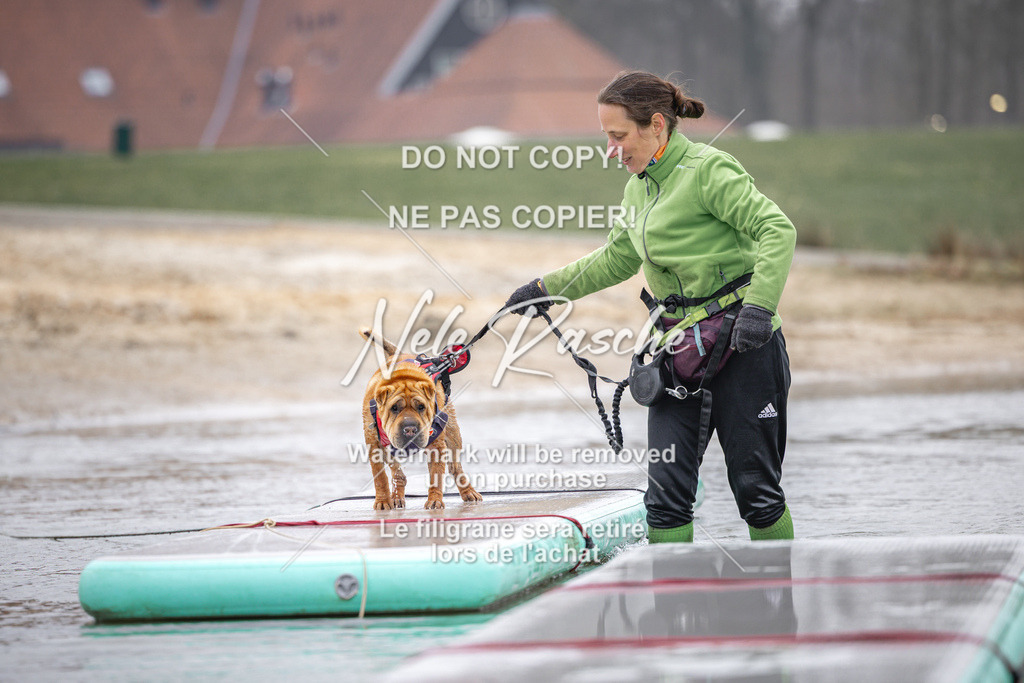nelerasche_Hulsbeek_Sa1030-1100_719 | nelerasche