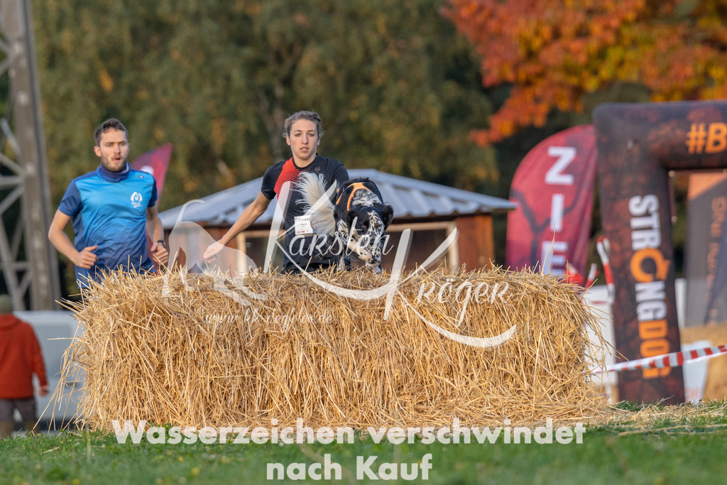 0900_ZZ92080 | kk-dogfotos