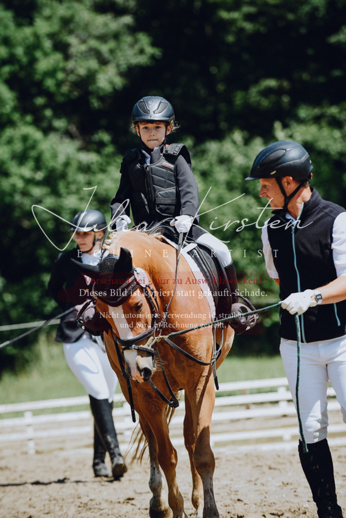 DSC_2582 | Pferde- und Turnierfotografie in Westsachsen. Pferdeportraits, Auftragszeichnungen und intuitive Kunst.