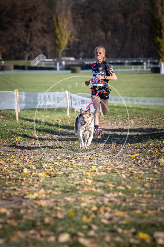 CaniXpix_DV3A9255 | Hundefotografie, Tierfotograf, Pfotenfotografie, Fotoshooting Hund, Hunde Portrait, Hundesport, Hundeportraits, Heideshooting, Hunde, Sportfotograf, Hundefotograf, Turnierhundsport, THS,  - Realisiert mit Pictrs.com