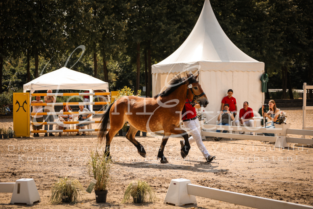 2.Sa00020 | Leoni Ertmer Photography - Realisiert mit Pictrs.com