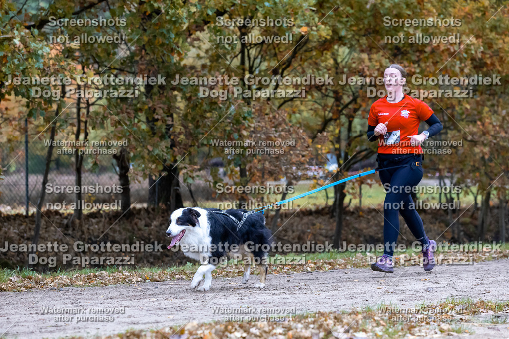 Dog Paparazzi - SD CaniX Championship 2025-349 | Dog Paparazzi Jeanette Grottendiek Fotografie & Videografie - Realisiert mit Pictrs.com