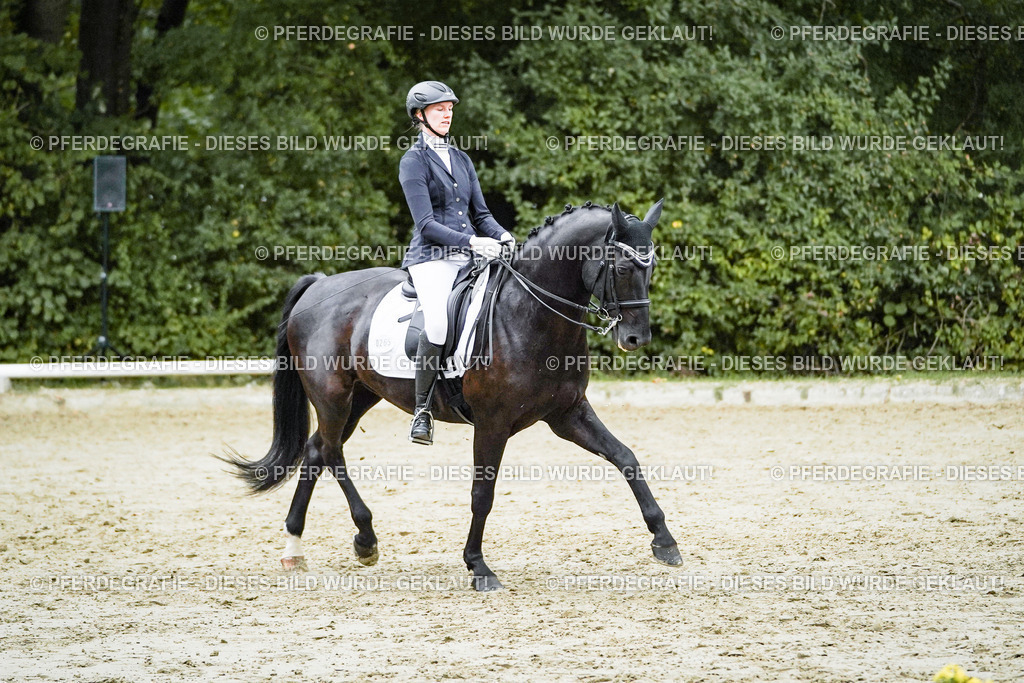 DSC00092 | Pferdegrafie