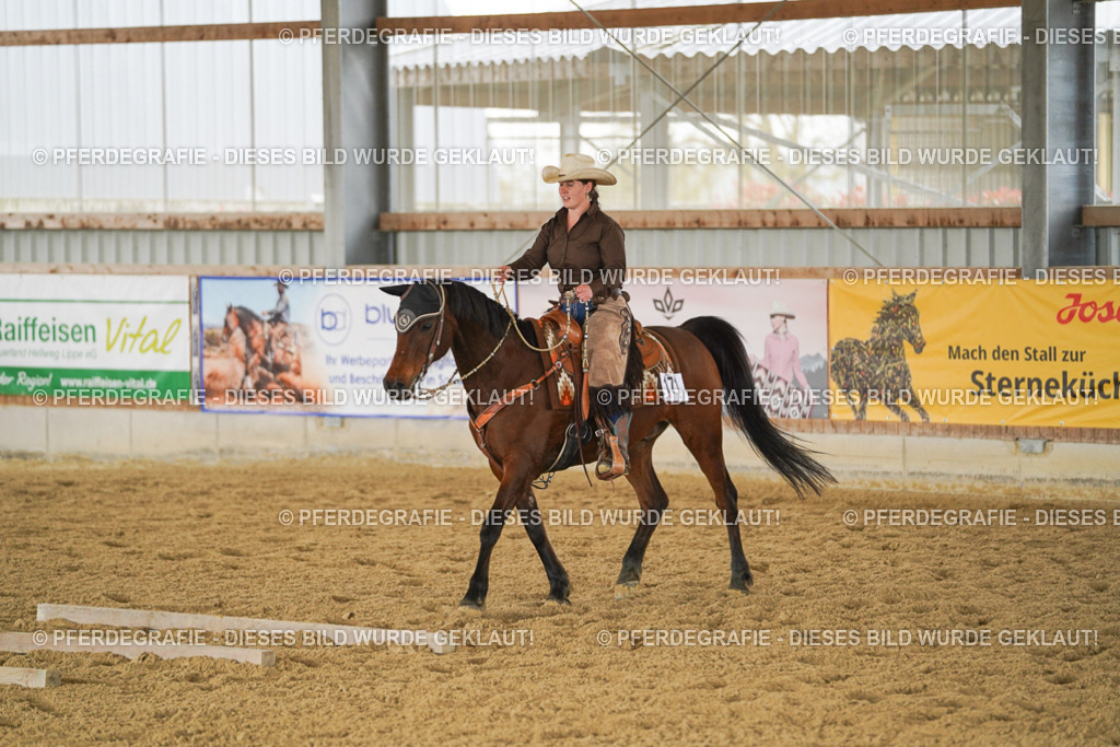 DSC04383 | Pferdegrafie