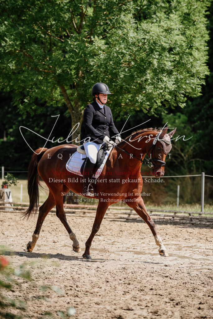 DSC_1287 | Pferde- und Turnierfotografie in Westsachsen. Pferdeportraits, Auftragszeichnungen und intuitive Kunst.