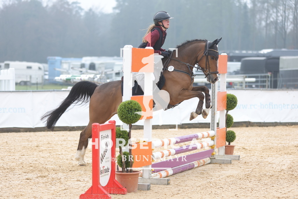 0P6A8522 | Willkommen bei Brunnmayr - Design & Fotografie – Ihrem Spezialisten für Reitturniere und Pferdeveranstaltungen in Oberösterreich, Salzburg und Bayern! Seit über 17 Jahren sind wir leidenschaftlich dabei.