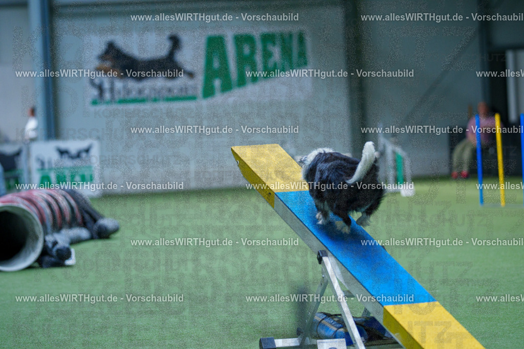 @allesWIRTHgut_Tierfotografie - www.allesWIRTHgut.de - 2604251435-7R505045 | Professionelle Tierfotografie in Mönchengladbach von Daniel Wirth (allesWIRTHgut). Liebevolle & natürliche Bilder von Hunden & Katzen für unvergessliche Erinnerungen.