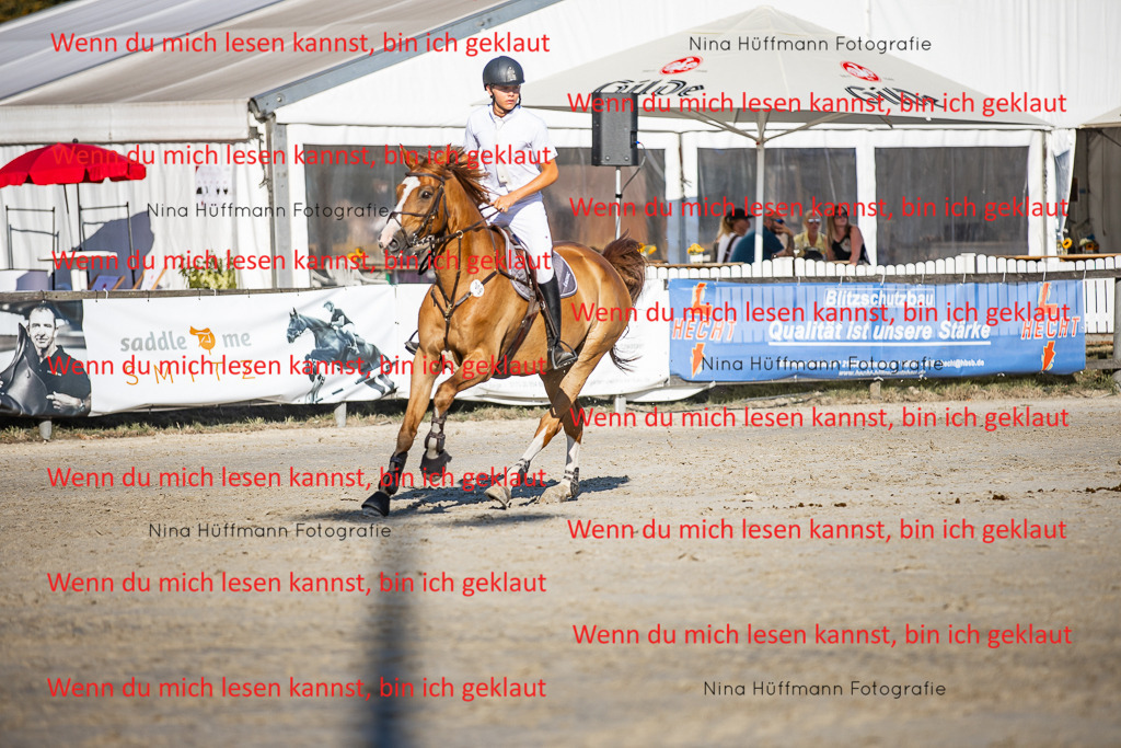 BK1A8702 | Turnierbilder Turnierfotos Nina Hüffmann Turnierfotografie Pferdefotografie Tierzeichnung Haustierzeichnung Pferdezeichnung Hundezeichnung Videograf  - Realisiert mit Pictrs.com