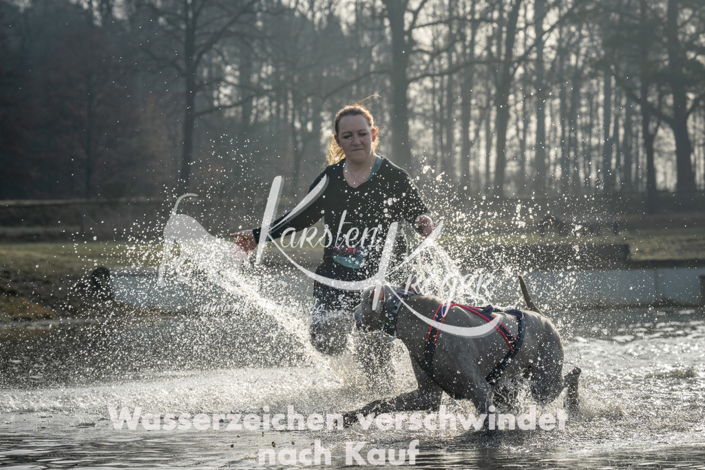 0901_ZZ99552 | kk-dogfotos