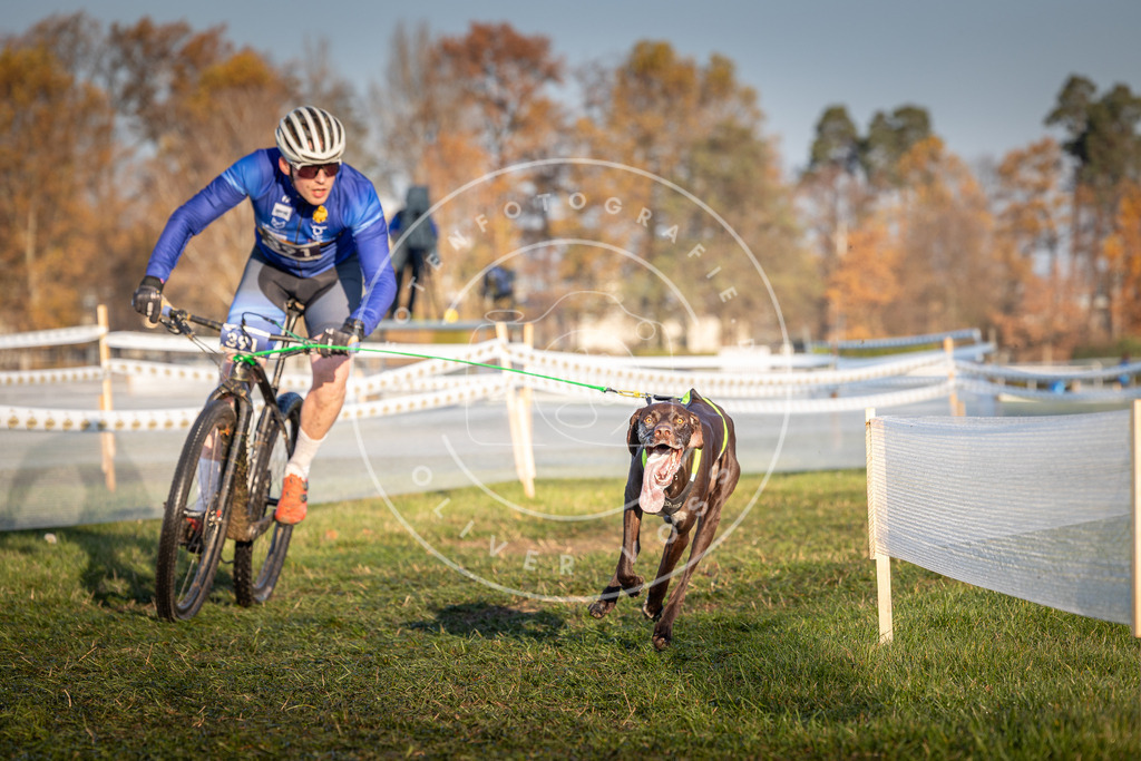 CaniXpix_0L8A3850 | Hundefotografie, Tierfotograf, Pfotenfotografie, Fotoshooting Hund, Hunde Portrait, Hundesport, Hundeportraits, Heideshooting, Hunde, Sportfotograf, Hundefotograf, Turnierhundsport, THS,  - Realisiert mit Pictrs.com