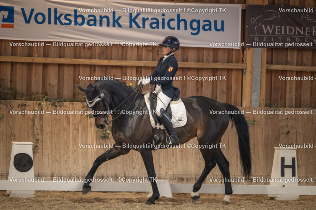 _D5A6545 | Emotionale Pferde- & People-Fotografie rund um Heidelberg, Leimen & Umgebung. Natürliche Fotos von Pferd, Mensch & Familie. Jetzt Termin sichern!