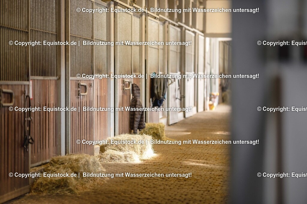 20251011_Jagd-Marbach_0001 | Foto: Thomas Hartig