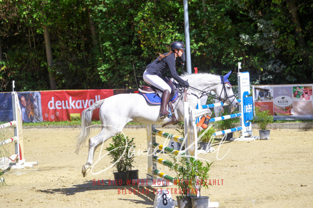 DKP43102 | Turniersportfotografie; Pferdefotografie; Dressurfotografie