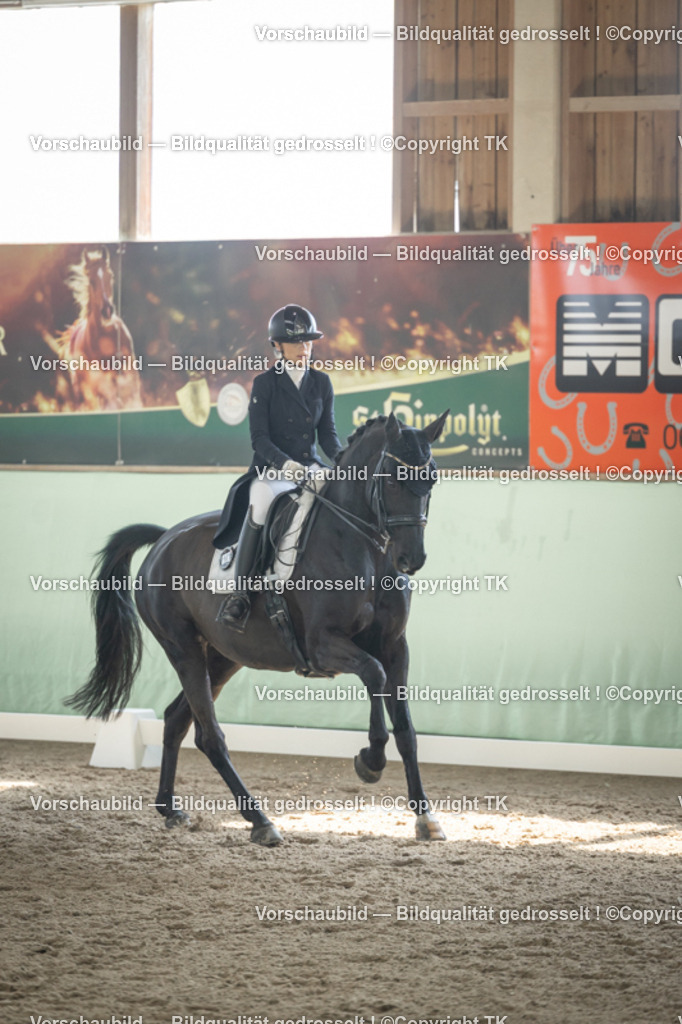 _D5A1691 | Emotionale Pferde- & People-Fotografie rund um Heidelberg, Leimen & Umgebung. Natürliche Fotos von Pferd, Mensch & Familie. Jetzt Termin sichern!