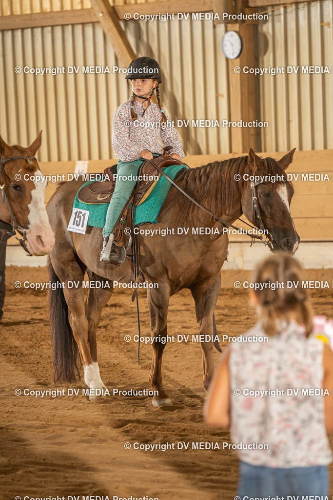 NID02911 | dv-media-shop - Realisiert mit Pictrs.com