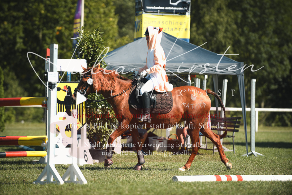DSC_7391 | Pferde- und Turnierfotografie in Westsachsen. Pferdeportraits, Auftragszeichnungen und intuitive Kunst.