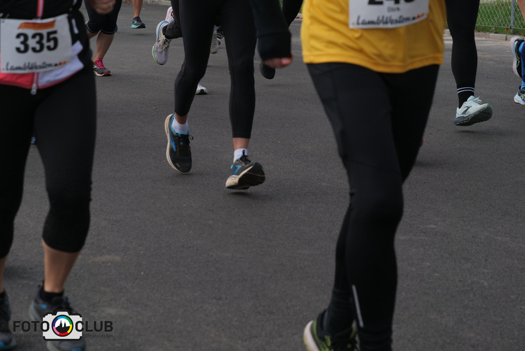 P1017178 | Foto Buchgraber