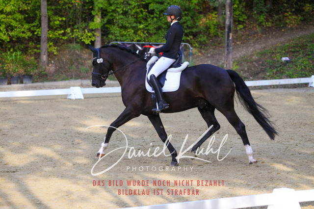 DKP41094 | Turniersportfotografie; Pferdefotografie; Dressurfotografie