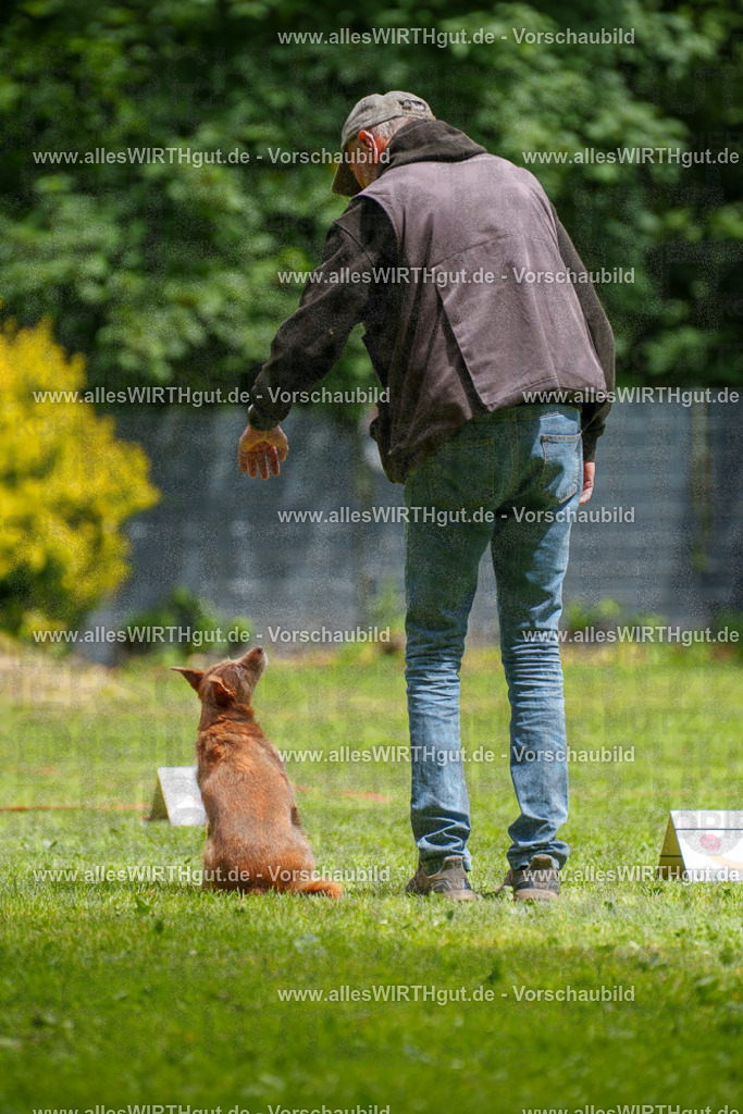 @allesWIRTHgut_Tierfotografie - www.allesWIRTHgut.de - 121812-7R508835 | Professionelle Tierfotografie in Mönchengladbach von Daniel Wirth (allesWIRTHgut). Liebevolle & natürliche Bilder von Hunden & Katzen für unvergessliche Erinnerungen.
