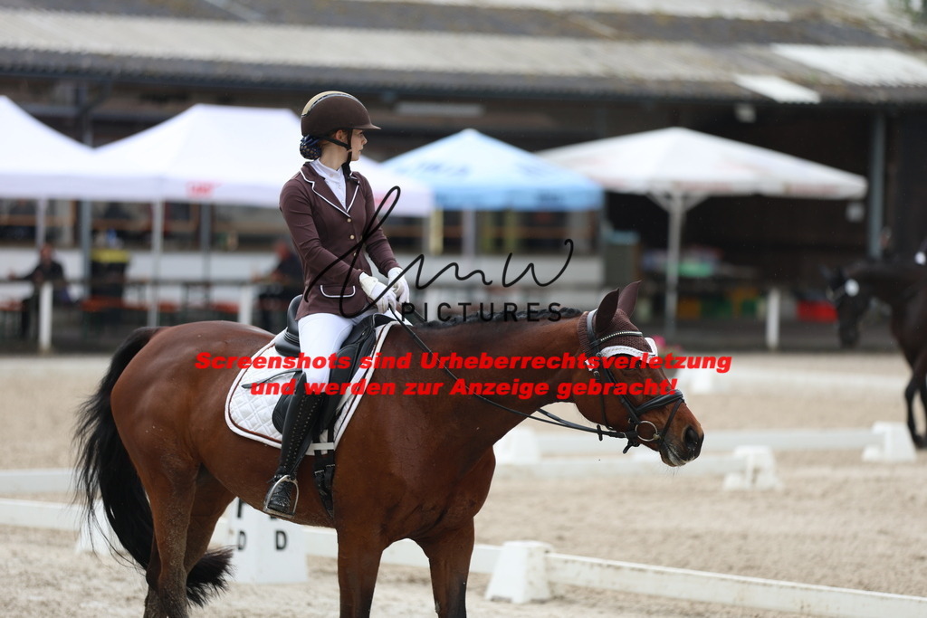 A40A8528 | lmwpictures - Realisiert mit Pictrs.com