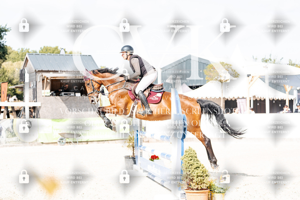 CK908648 | Turnierfotografie Pferdefotografie Trier Rheinland-Pfalz Pferdesport Reitsport Tierfotografie Sportfotografie Pferdevideo Pferdevideografie Equestrianvideography equestrianphotography  - Realisiert mit Pictrs.com