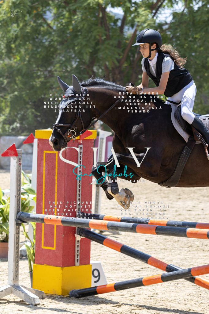 IMG_1151 | s-jay-photography - Realisiert mit Pictrs.com