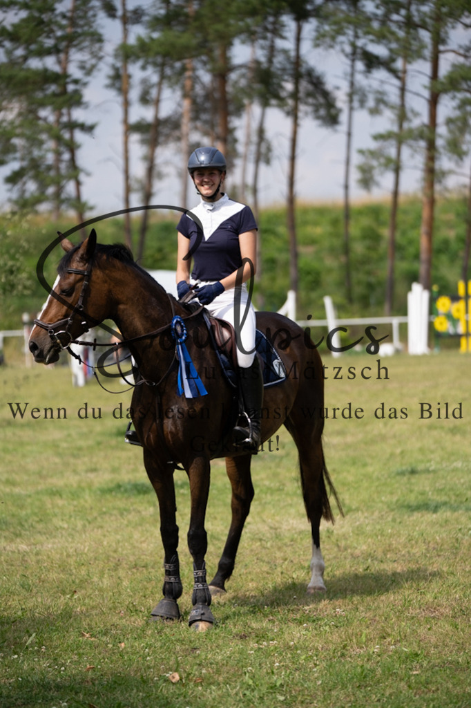 A7V07533 | Pferdefotograf