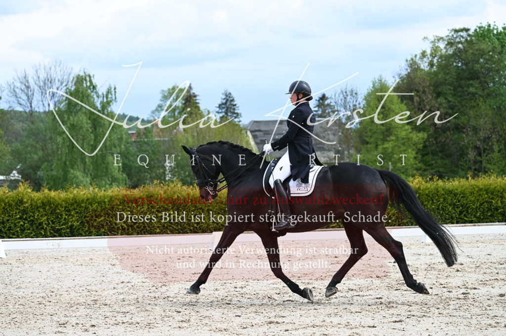 20230513_JK-Röhrsdorf-12-236-2 | Pferde- und Turnierfotografie in Westsachsen. Pferdeportraits, Auftragszeichnungen und intuitive Kunst.