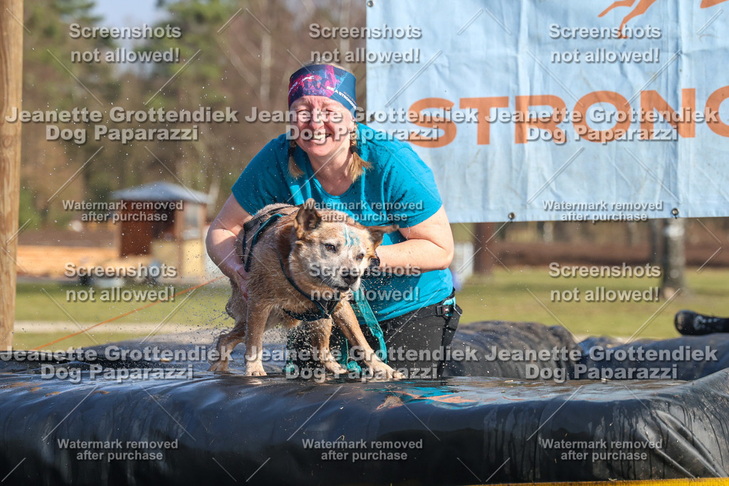 Dog Paparazzi - Strongdog North Mrz26-2851 | Dog Paparazzi Jeanette Grottendiek Fotografie & Videografie - Realisiert mit Pictrs.com