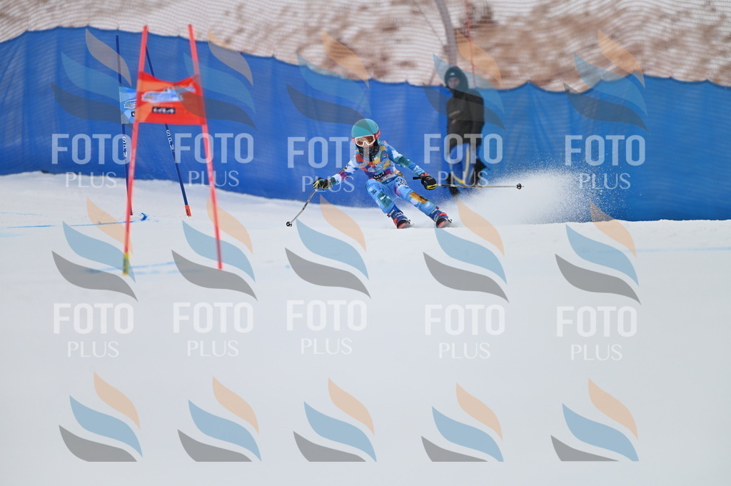 BGV_1010 | holidayphoto