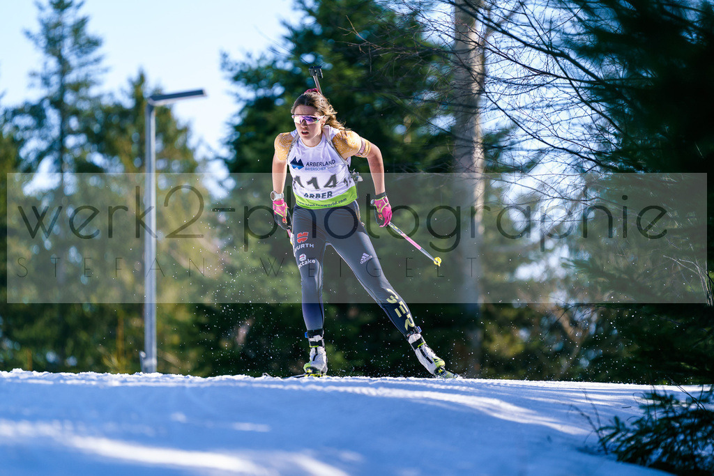 FESA Alpencup / DP Arber | 7. Deutschlandpokal Finale - ARBER Hohenzollern Skistadion, 6. - 9. März 2025