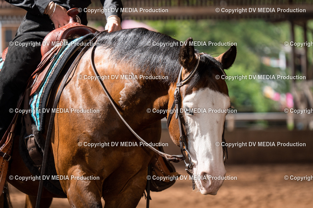 Erbach Tag 2-319 | dv-media-shop - Realisiert mit Pictrs.com