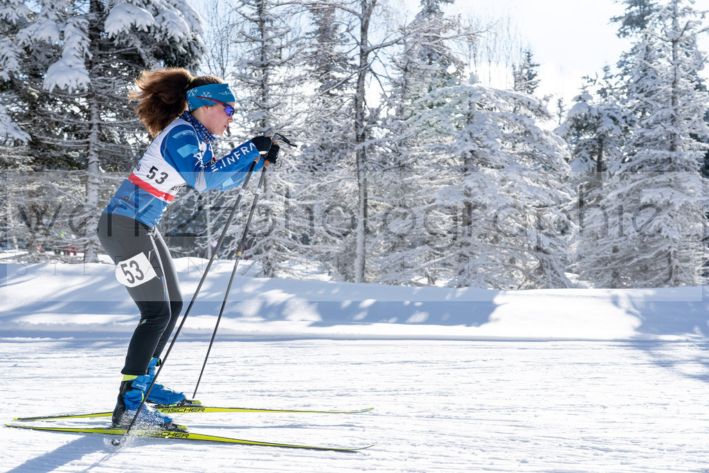 DSC Altenberg | Deutscher Schülercup in Altenberg vom 11. bis zum 13. Februar 2022