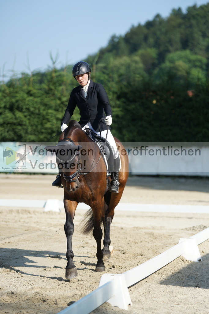 DSC01301 | equestrian-live-com