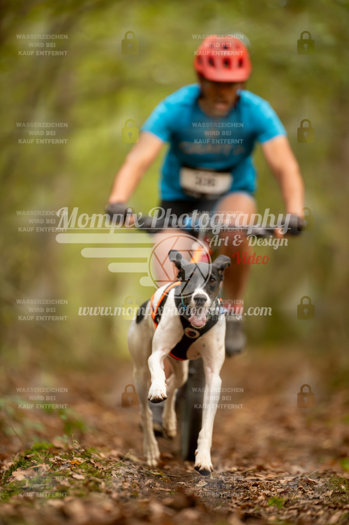 TSB_2023_E1_Bike-46 | mompixphotography