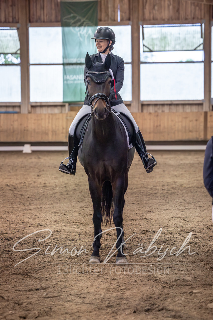 20251011-_3LI2272 | Tierfotografie Pferde, Hunde, Katzen, Haustiere.
Turnierfotografie Reitturniere, Reiten, Springreiten, Dressur in Hanau, dem Main-Kinzig-Kreis und dem Rhein-Main- Gebiet um Frankfurt