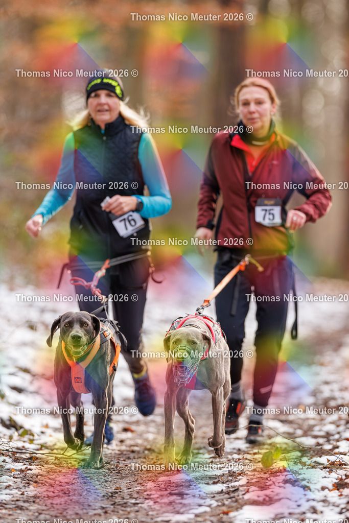 Thomas_Nico_Meuter(C)_223A9139 | Bild von Thomas Nico Meuter - Realisiert mit Pictrs.com