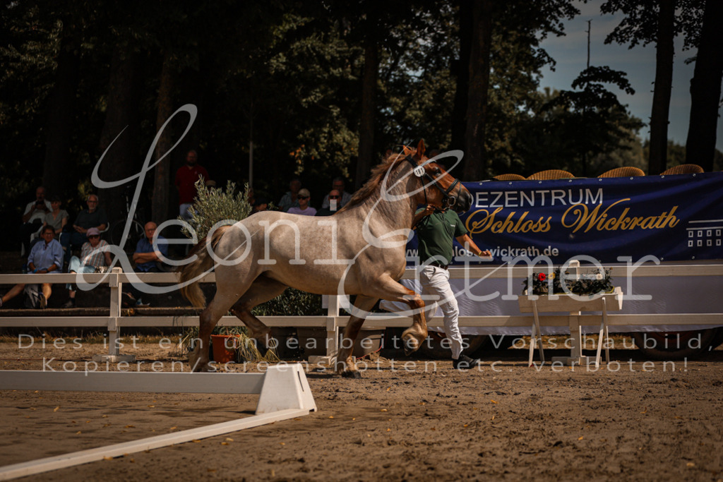 1.Sa00037 | Leoni Ertmer Photography - Realisiert mit Pictrs.com