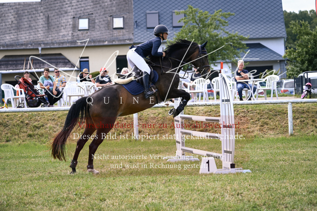 DSC_0592 | Pferde- und Turnierfotografie in Westsachsen. Pferdeportraits, Auftragszeichnungen und intuitive Kunst.